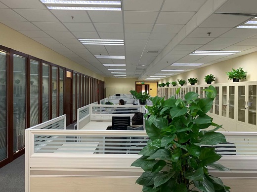 中环世贸办公室照片